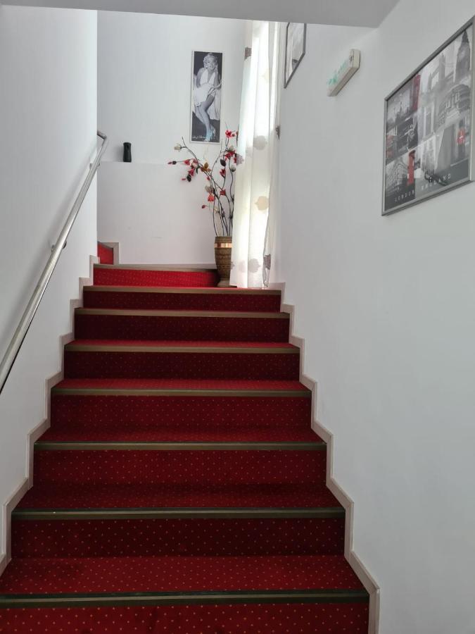 Pensiunea Riccardo Brașov Exterior foto